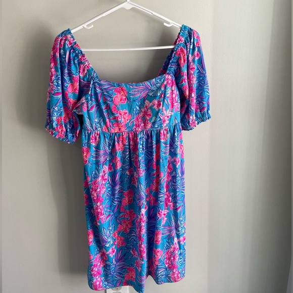Lilly Pulitzer Delaney Short Sleeve Dress - Blue and Pink - Size 2 - Picture 5 of 15